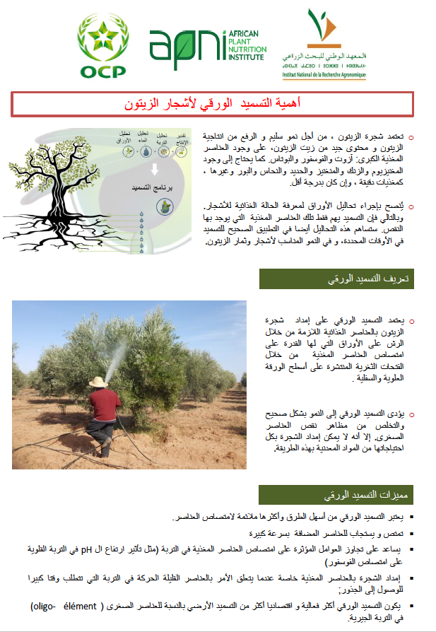 أهمية التسميد الورقي لأشجار الزيتون (Foliar Fertilization of Olives #1)-image