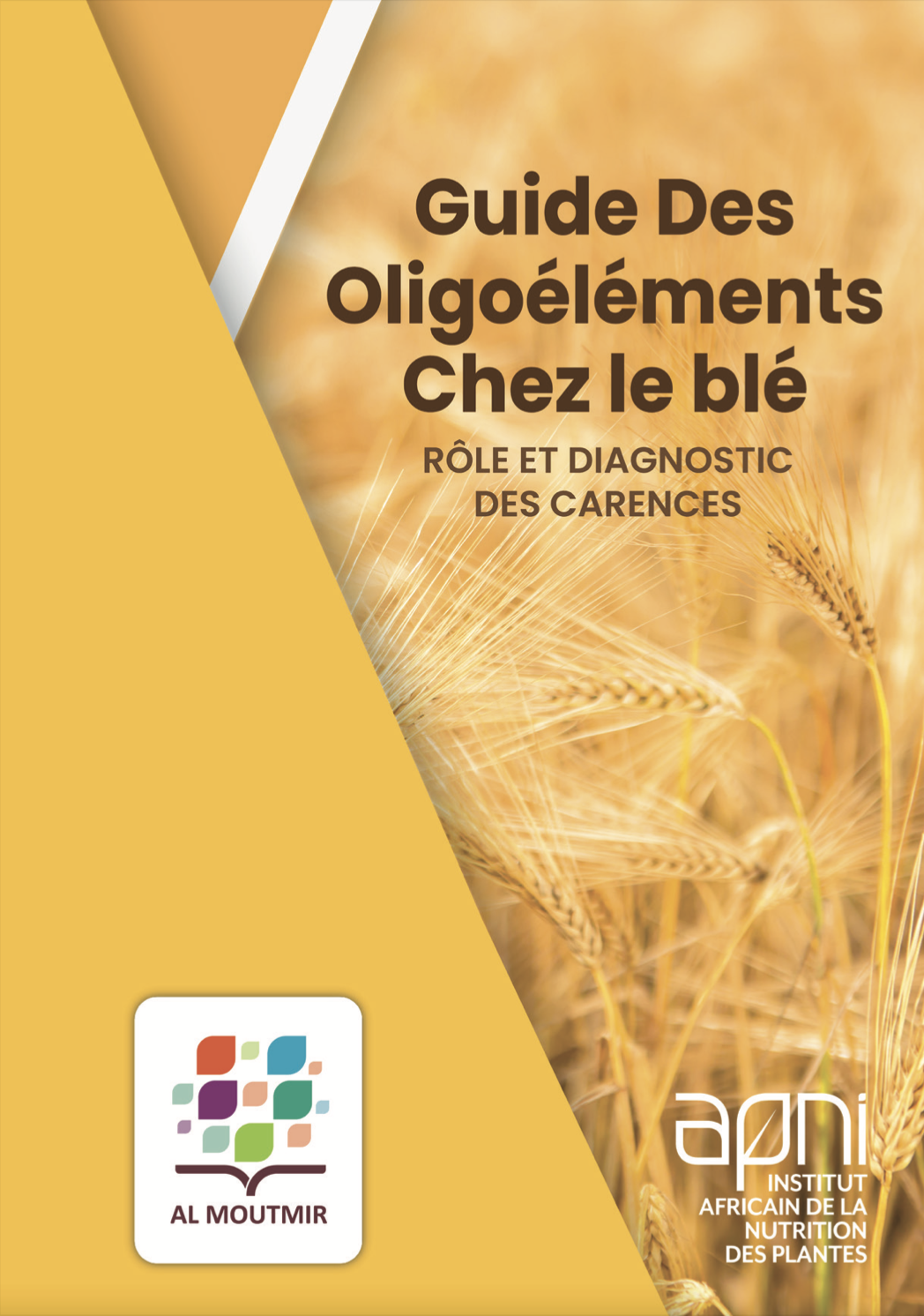 Guide des oligoéléments chez le blé - rôle et diagnostic des carences main image
