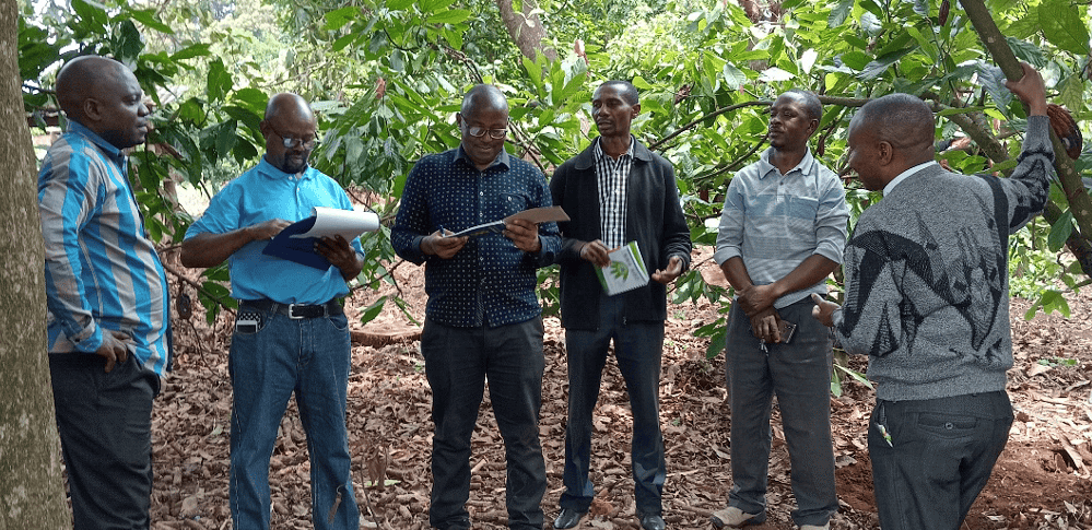 Tanzania C-Crops