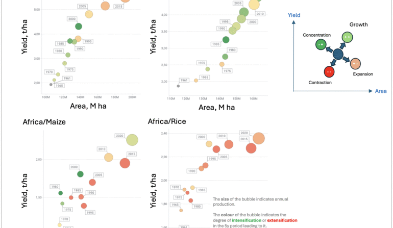 Agricultural Development in Maize and Rice: Yield-Area Dynamics