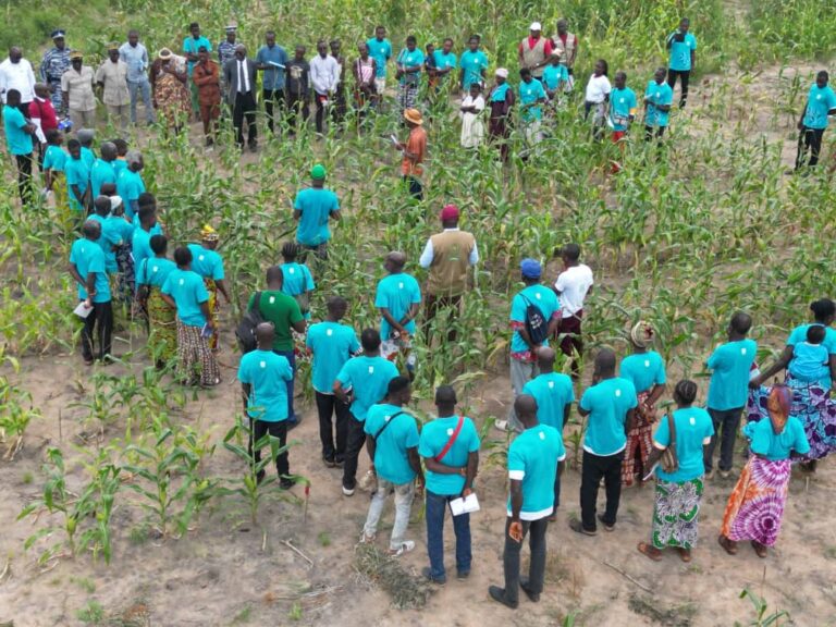 Building Farmer Capacity in Côte d’Ivoire through Best Management Practices for Maize