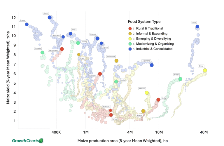Global Maize Production: Where are we now and what can we learn?