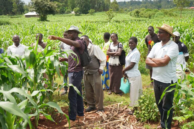 Why Farmers Join Agribusiness Clusters