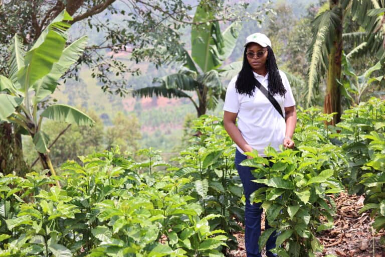 Q&A: Driving Sustainable Farming Through Legume Intensification