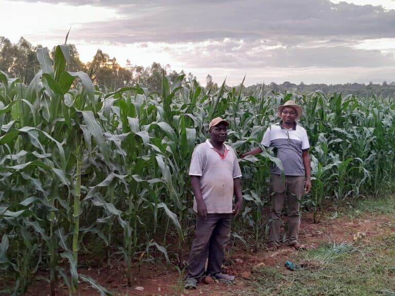 Why Fertilizer and Soil Health Must Go Hand in Hand