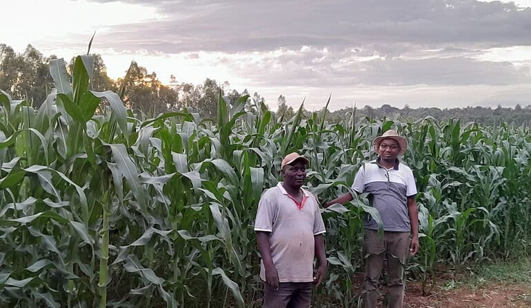 Why Fertilizer and Soil Health Must Go Hand in Hand
