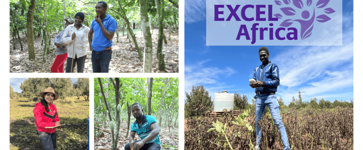 Excel Africa