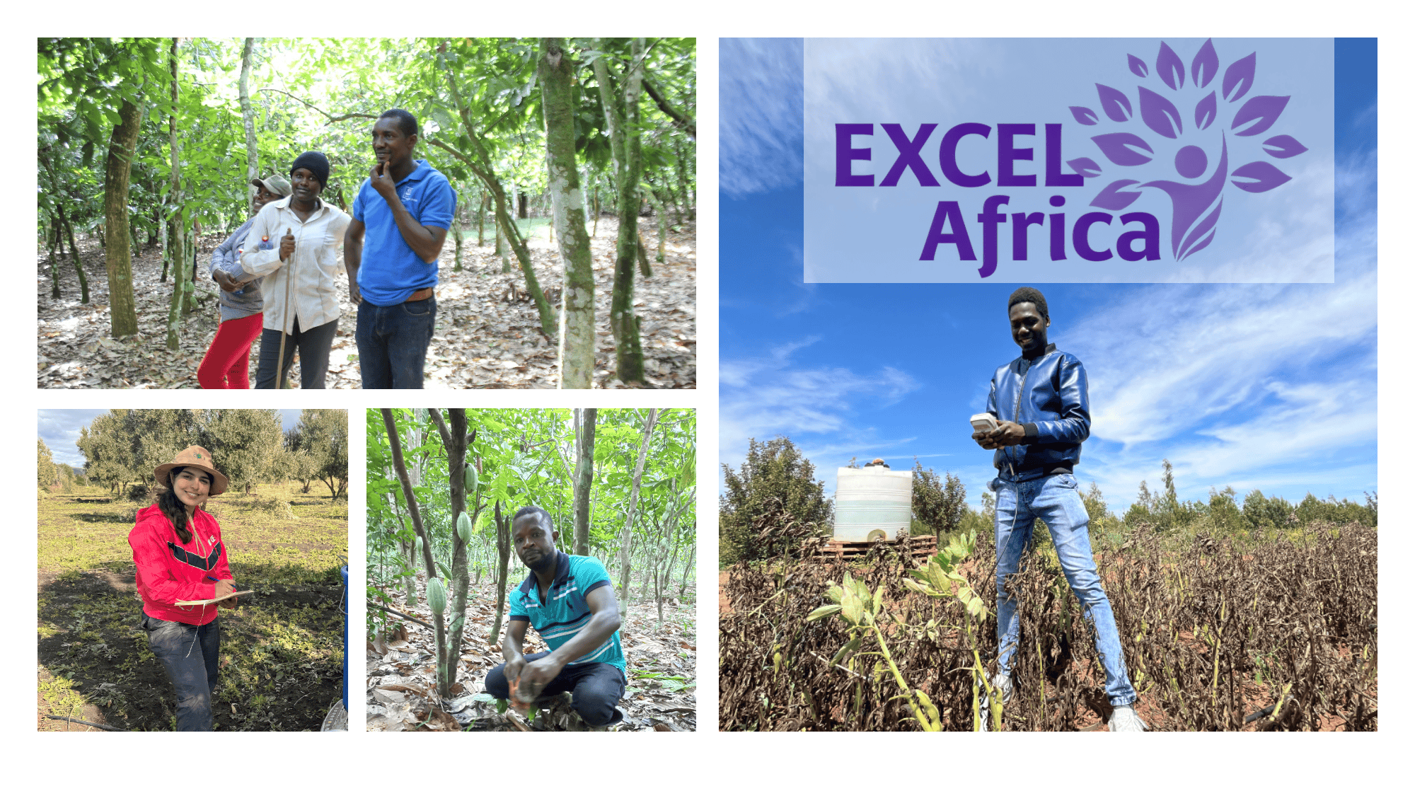 Developing Mentorship and Capacity for Research in Climate-Resilient Crop Nutrition