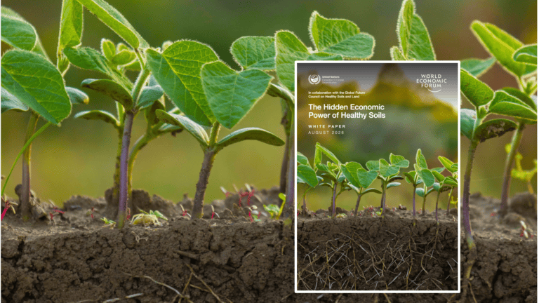 The Business Case for Investing in Soil Health
